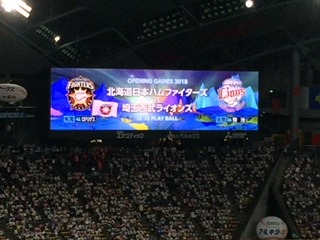 image7.jpeg