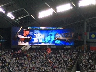 image8.jpeg