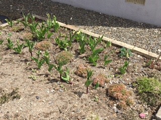 image5.jpeg