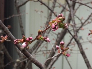 image6.jpeg