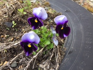 image5.jpeg