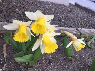 image6.jpeg
