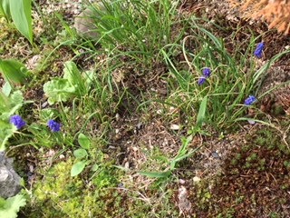 image5.jpeg