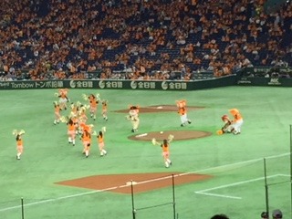 image5.jpeg