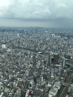 image5.jpeg