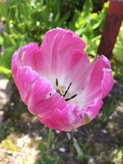 image3.jpeg