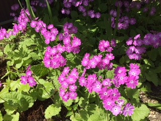 image4.jpeg