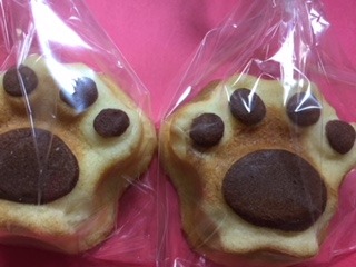 image8.jpeg