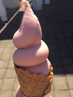 image1.jpeg