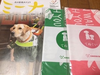 image9.jpeg