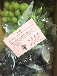 image6.jpeg