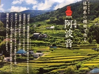 IMG_3384.jpg