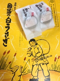 image4.jpeg