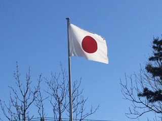 image12.jpeg
