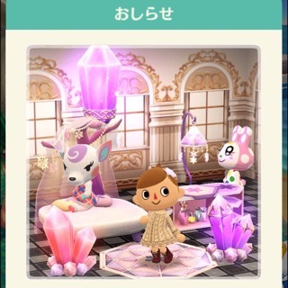image5.jpeg