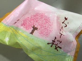 image7.jpeg