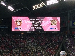 image4.jpeg