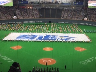 image6.jpeg