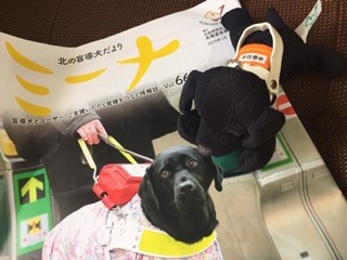 image6.jpeg