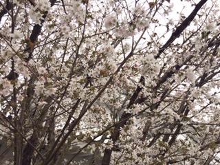 image11.jpeg