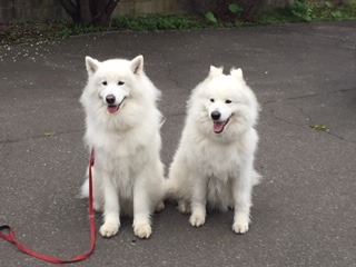 image13.jpeg