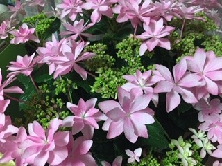 image14.jpeg