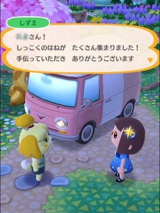 image11.jpeg