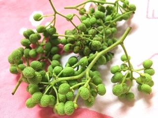 image8.jpeg