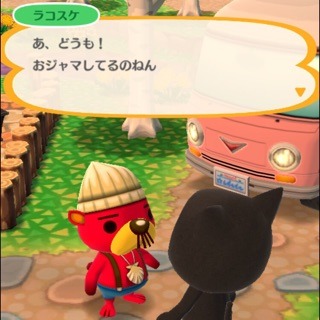image4.jpeg