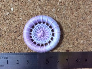 image6.jpeg