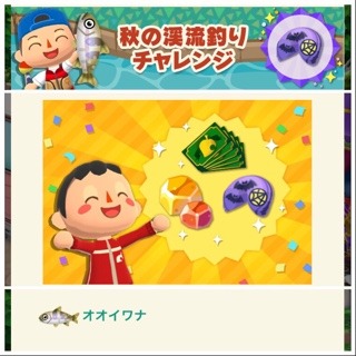 image1.jpeg