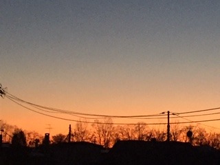 image11.jpeg