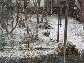 image1.jpeg
