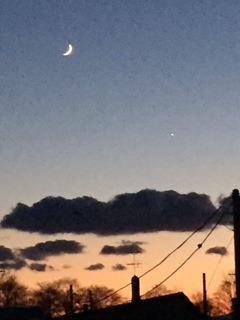 image7.jpeg