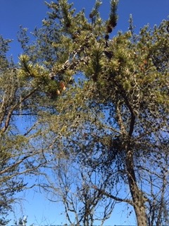 image9.jpeg