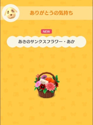 image9.jpeg