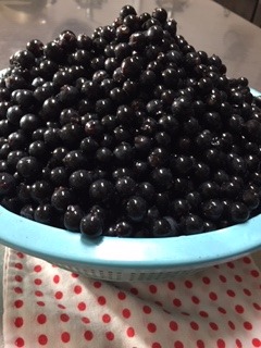 image8.jpeg