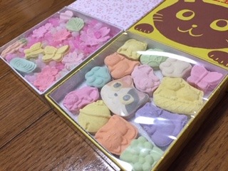 image7.jpeg