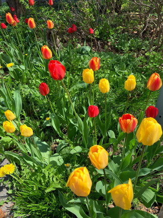 IMG_0765.jpeg